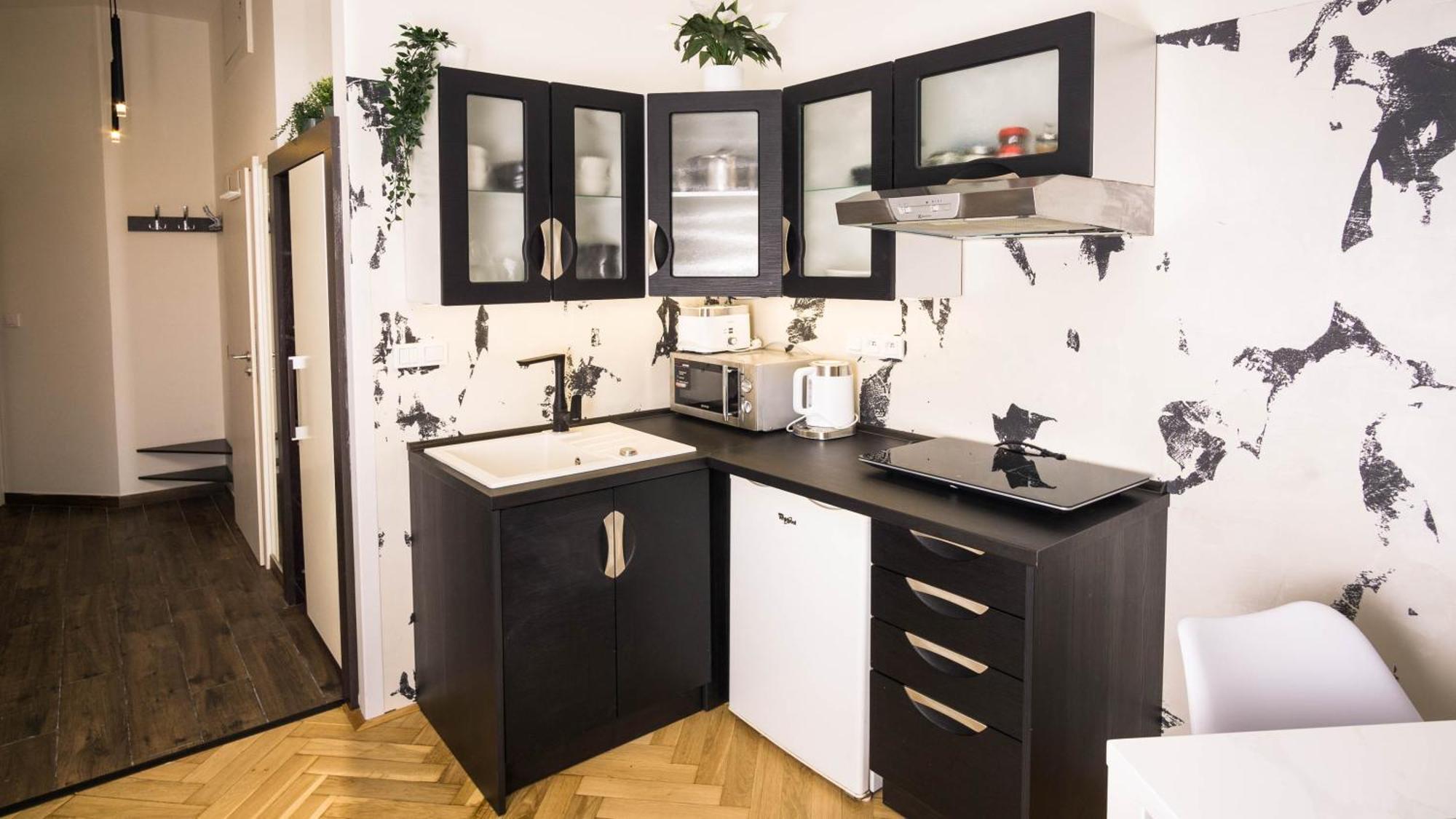 Black & White Apartment Prague By Wenceslas Square And Muzeum Exterior photo